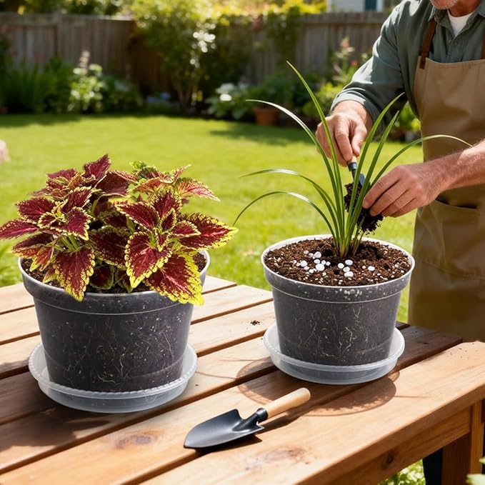 12 Pack 8 Inch Clear Plant Pots - Image 5