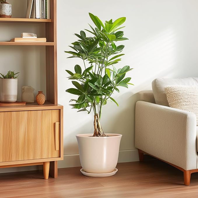 Ceramic Planter - Image 4
