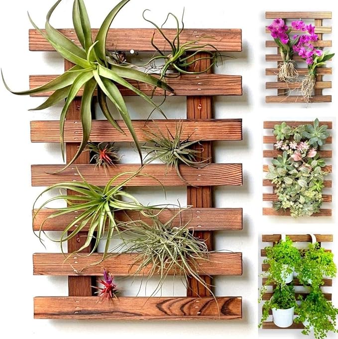ShopLaLa Wall Planter – Wooden Air Plant Succulent Holder Hanger Indoor Outdoor by ShopLaLa
