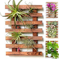 ShopLaLa Wall Planter – Wooden Air Plant Succulent Holder Hanger Indoor Outdoor by ShopLaLa