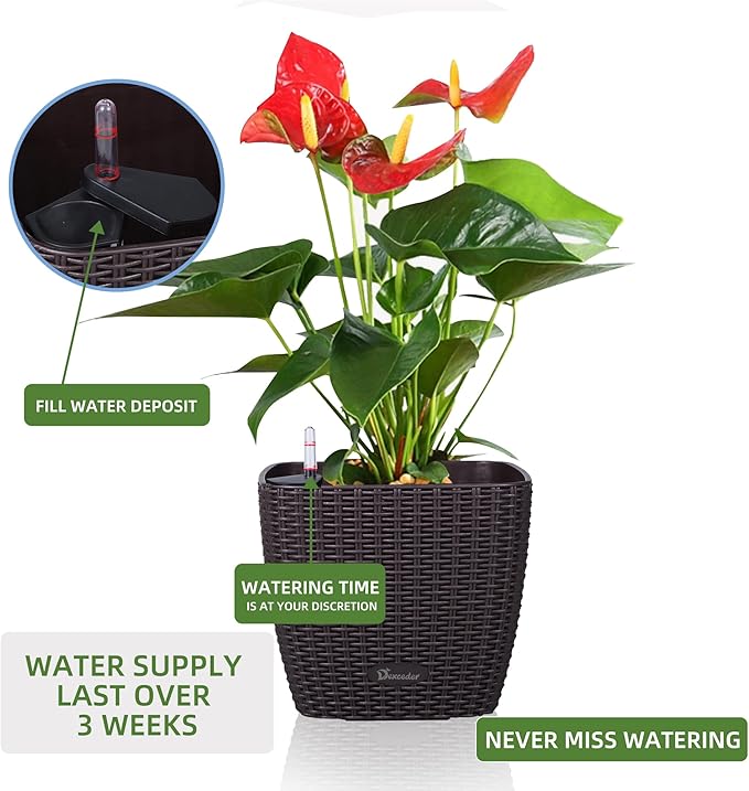Dexceder 11x10 Self Watering Planter Indoor Outdoor, Inner Mat Design, - Image 5