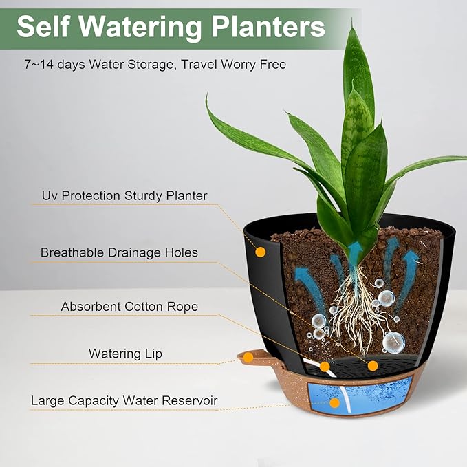 Planters for Indoor Plants 3 Pack, 10/9/8 Inch Self Watering Flower Pots - Image 3