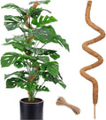 60 Inch Moss Pole for Plants Monstera, Tall Bendable Moss Poles for Climbing by Soupiar