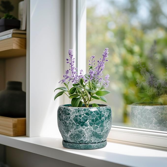 SQOWL Ceramic Pot for Plants - Image 2