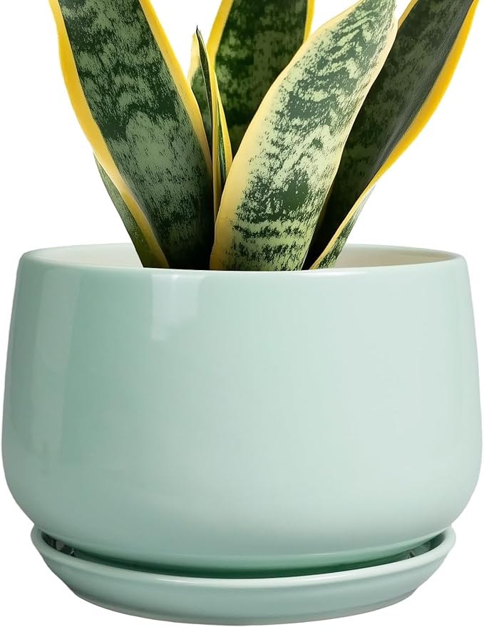 G EPGardening Ceramic Plant Pots by GEPGardening