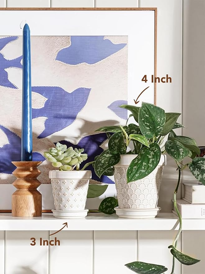 LE TAUCI 3 Inch Mini Succulent Pots - Image 3