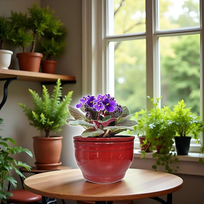 African Violet Pots Self Watering Round Ceramic Violet Pot - Image 8