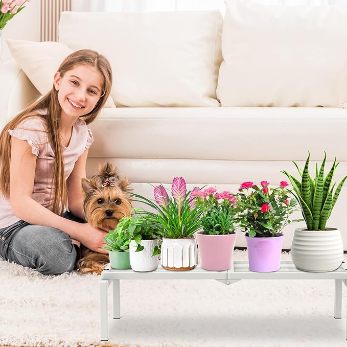 1 Tier Metal Plant Stand Indoor Outdoor, Potted Multiple Flower Pot Holder Rack - Image 8