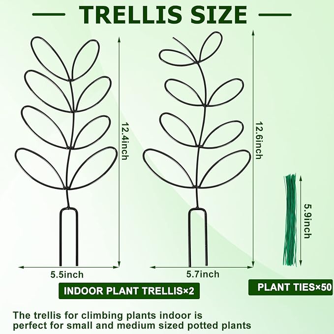 AUGSUN 2 Packs Indoor Plant Trellis Garden Trellis - Image 2
