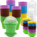 PURPLE STAR 1N 50 Packs Cupcake Plant Nursery Pots by PurpleStar