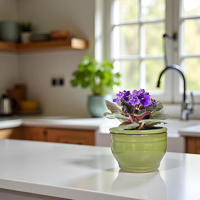 African Violet Pots Self Watering Round Ceramic Violet Pot - Image 2