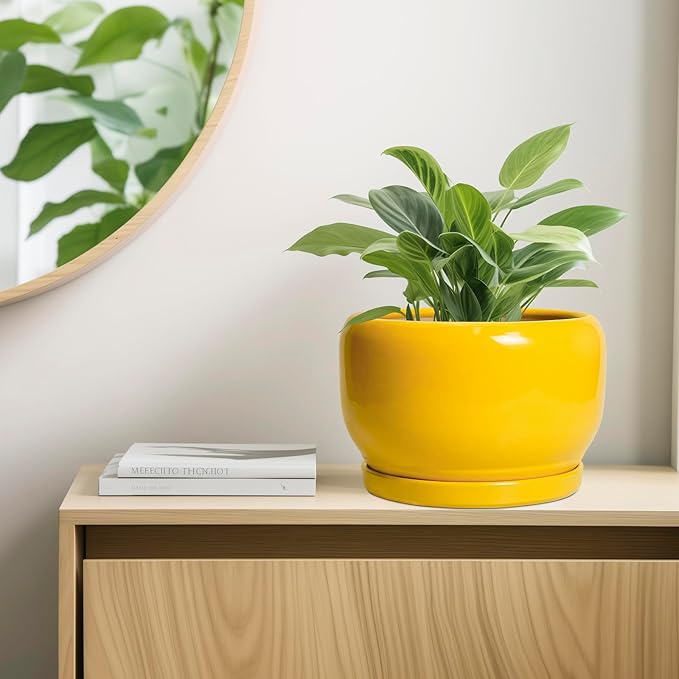 SQOWL 10 Inch Plant Pot - Image 7