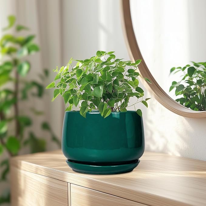 G EPGardening Ceramic Planter for Indoor Plants - Image 6