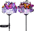 Outdoor Solar Garden Lights by Doingart