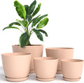 Utopia Home - Plant Pots with Drainage - 7/6.6/6/5.3/4.8 Inches Home Decor by UTOPIAHOME