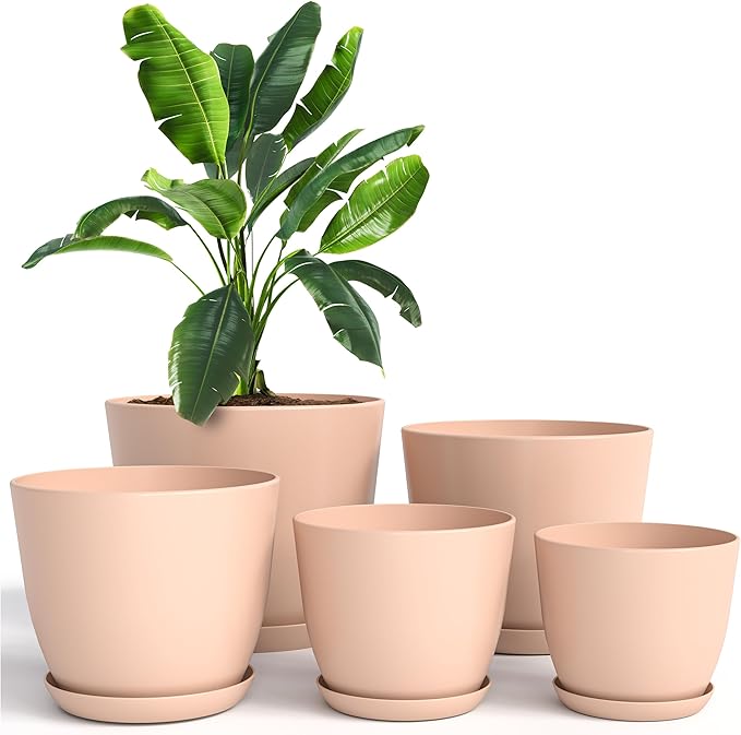 Utopia Home - Plant Pots with Drainage - 7/6.6/6/5.3/4.8 Inches Home Decor by UTOPIAHOME