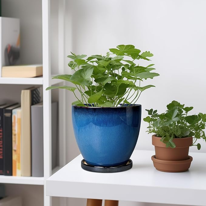 Ceramic Planters for Indoor Plants - Image 2