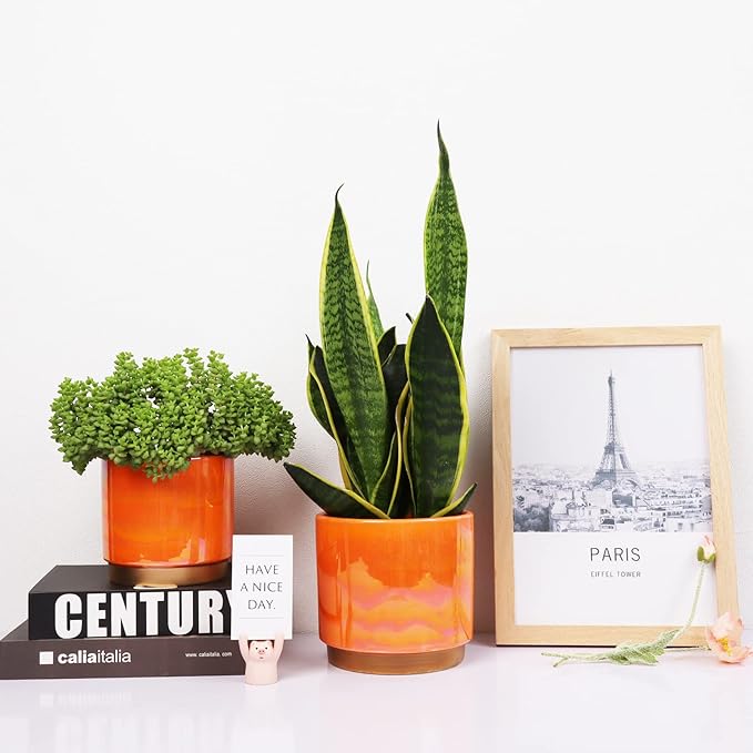Gepege Ceramic Indoor Pots for Plants, Rainbow Pearl Glaze Planter - Image 4