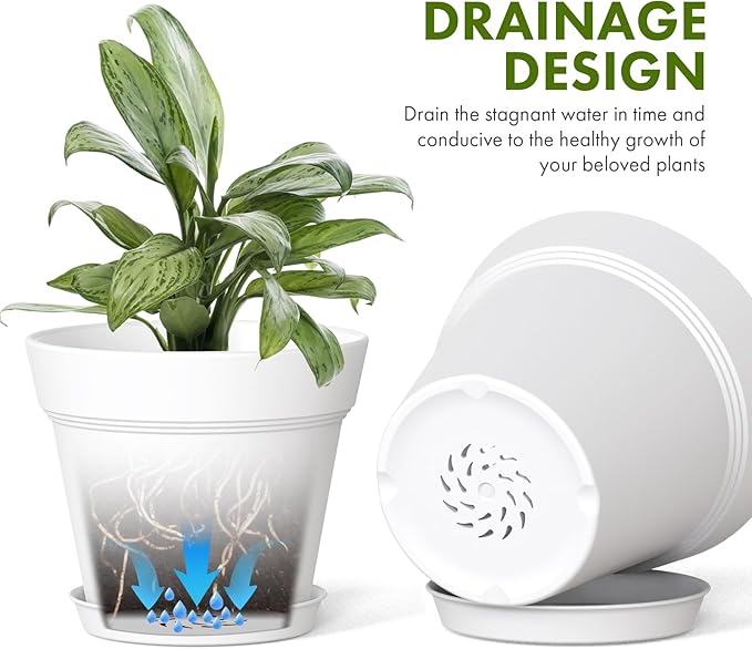 4 Inch Plastic Plant Pots with Drainage Holes and Trays – 8 Pack Small Nursery - Image 4