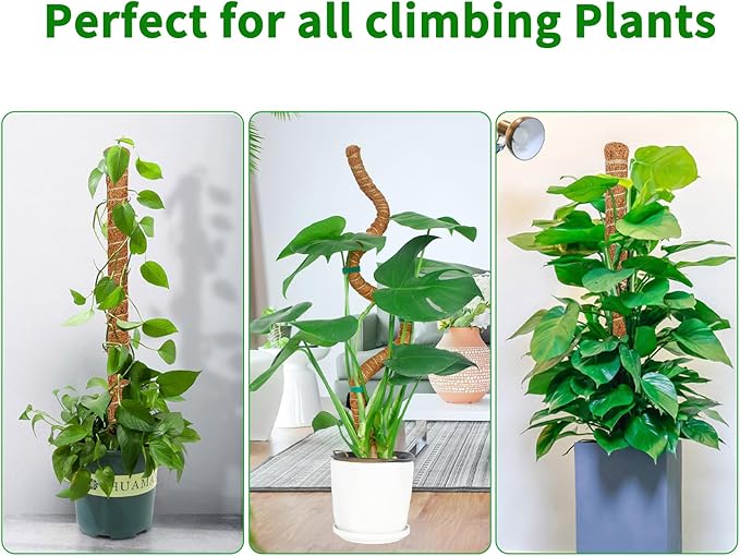 4 Pack 39 Inch Moss Pole Monstera Plant Support, Coir Moss Poles - Image 6