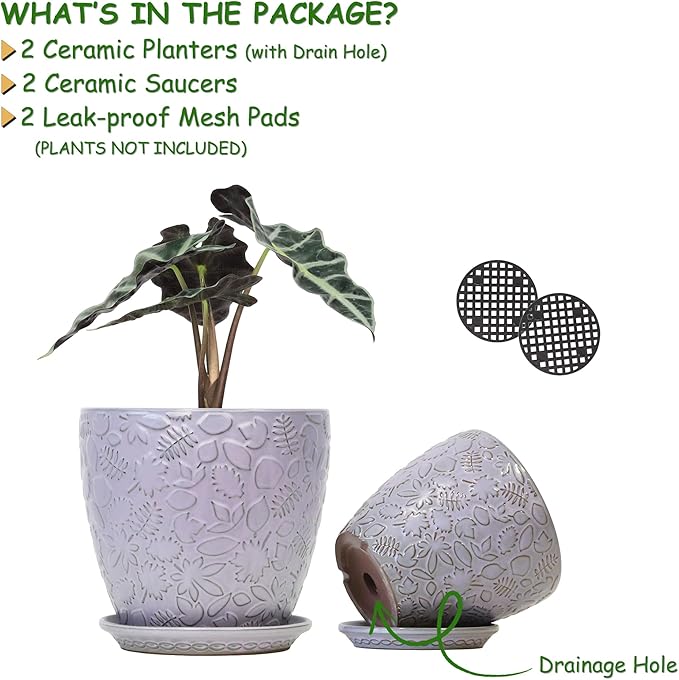 8 Inch + 6 Inch Retro Ceramic Planter Set of 2 - Image 2