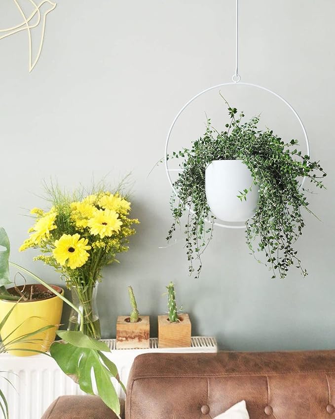 Hanging Planter Indoor Modern Boho Plant Pot Metal Wall and Ceiling Plant Holder - Image 5
