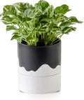 Nihow Self Watering Plant Pot: 6 Inch Ceramic Planter by Nihow