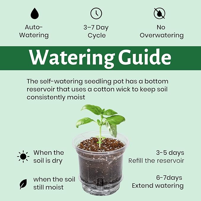 18 Pack 6.5/5/4 Inch Clear Self Watering Plant Pots - Image 6