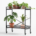 Zhongma 2 Tier Sturdy Metal Plant Stand by Zhongma