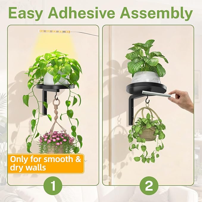 iDavosic.ly Wall Plant Holder - Image 6