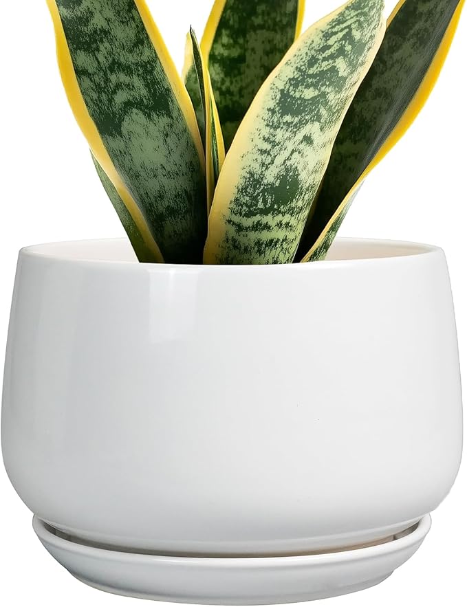 G EPGardening Ceramic Pots for Plants by GEPGardening