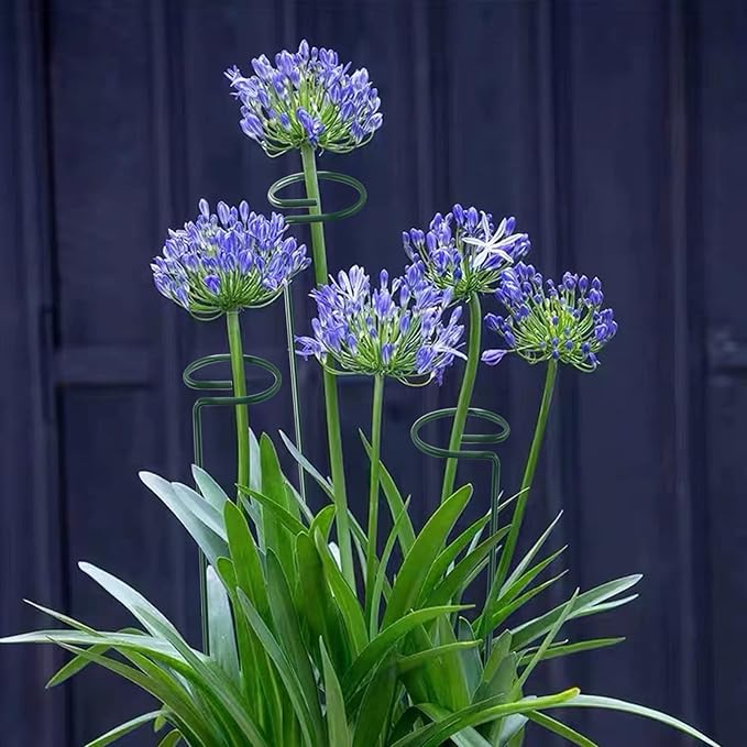 12 Pack 16 Inch Plant Support Stakes, Metal Single stemmed Flower Support - Image 6