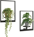 2 Pack Plant Stand Indoor Outdoor Hanging Planters by NUZZERO