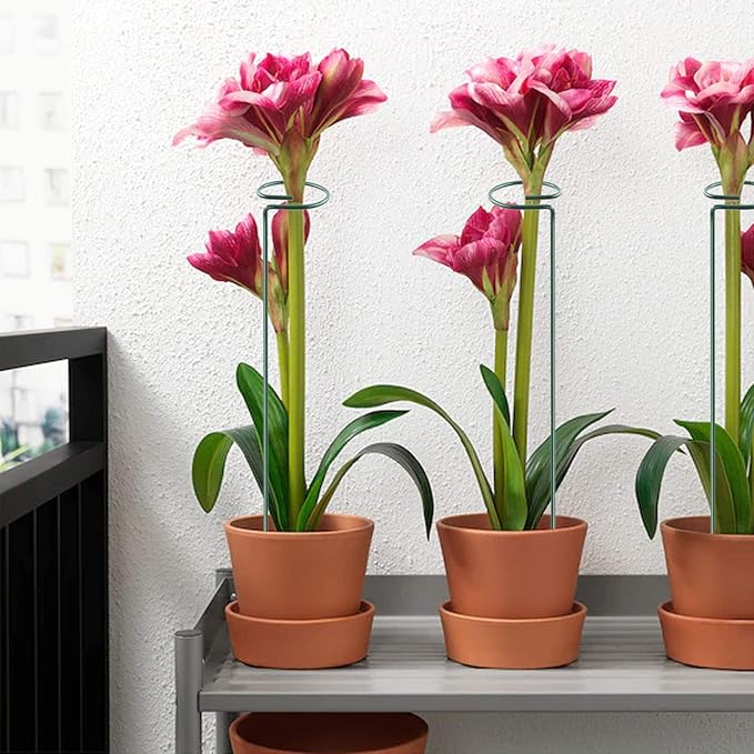 HiGift 5 Pack Plant Support Stakes, Garden Single Stem Flower Support Stick - Image 7