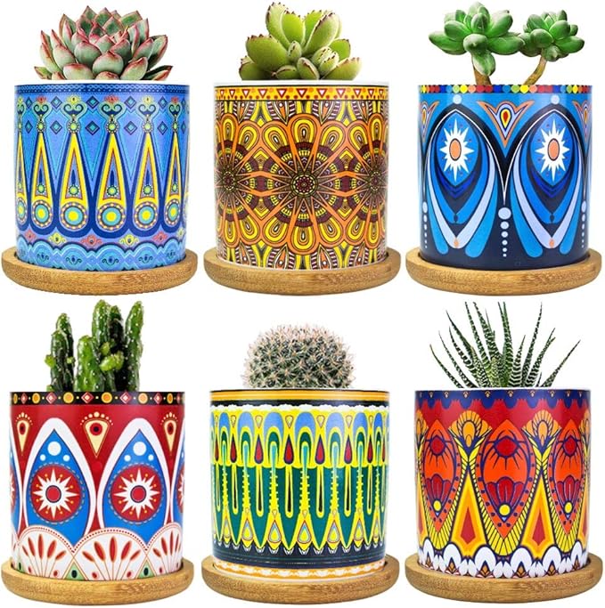 Mandala Succulent Pot with Drainage Hole & Bamboo Coaster, Small Plant Pots by Ascrafter