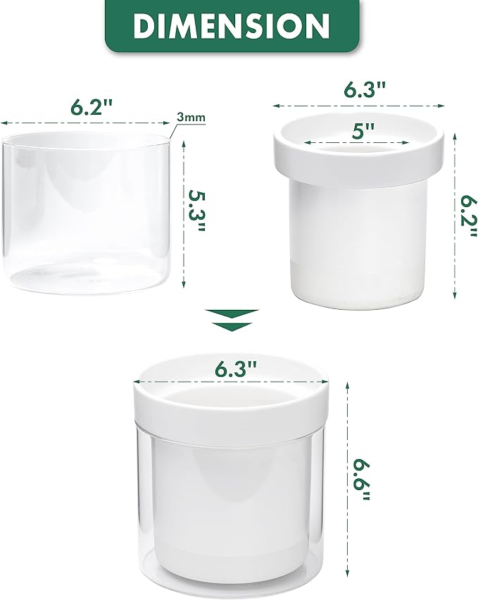 Phoenix Vine 6 Inch Self Watering Planter - Image 3