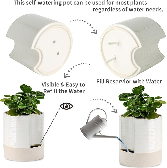 Nihow Self Watering Plant Pot: 8 Inch Ceramic Planter - Image 3
