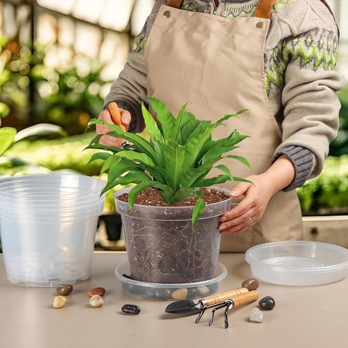 7 Pack 8 Inch Clear Nursery Pots - Image 5
