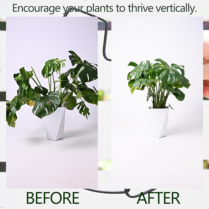 5PCS Black Monstera Plant Stem Support 9x7.6in - Image 3