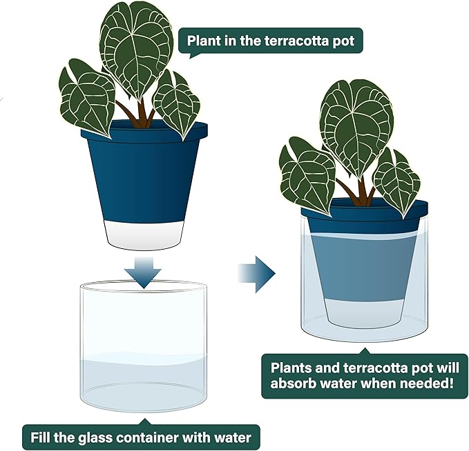 D'vine Dev 6 Inch Design Self Watering Planter - Image 4