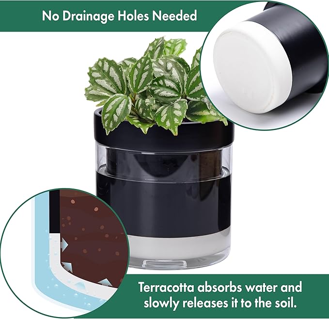 Phoenix Vine 6 Inch 4 Inch Self Watering Terracotta Planter - Image 5