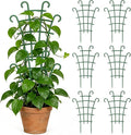 6PCS Plant Support Stakes, Stackable Plant Trellis by Unknown