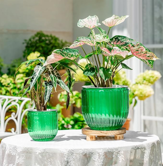 Melphoe Self Watering Pots for Indoor Plants Planter, 8.3/5.3 Inch 2 Pack - Image 3