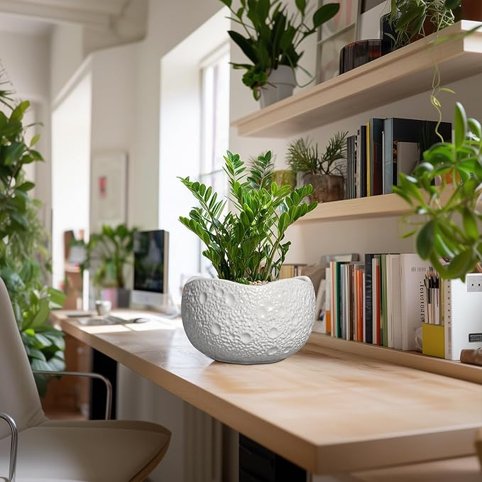 10 Inch Plant Pot - Image 3