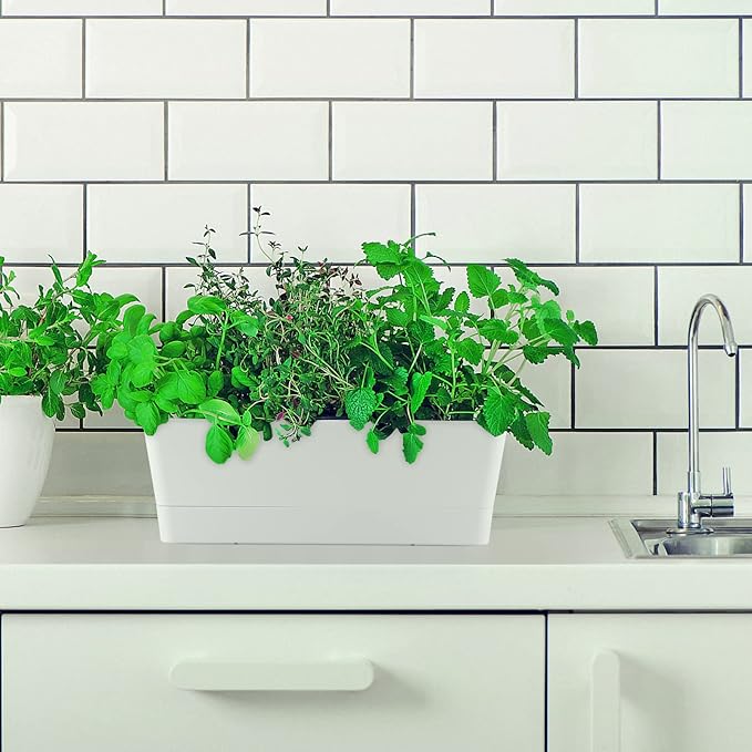 Skelang 3 Pcs Rectangular Plant Pot, Windowsill Container - Image 7