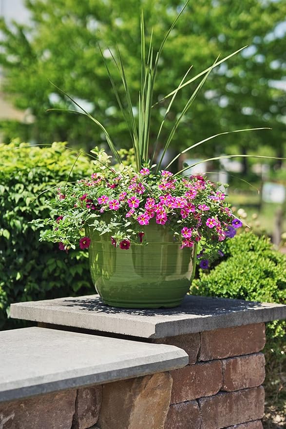 Garden Elements Indoor/Outdoor Glazed Brushed Happy Plastic Planter, Dark Green - Image 2