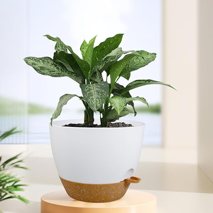 12 inch Large Self Watering Pots - Image 6