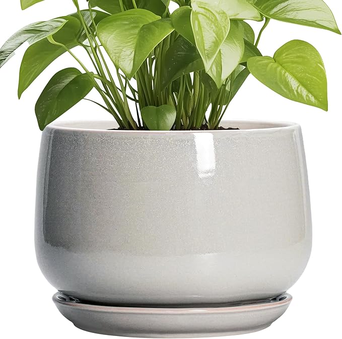 G EPGardening Ceramic Plant Pots by GEPGardening