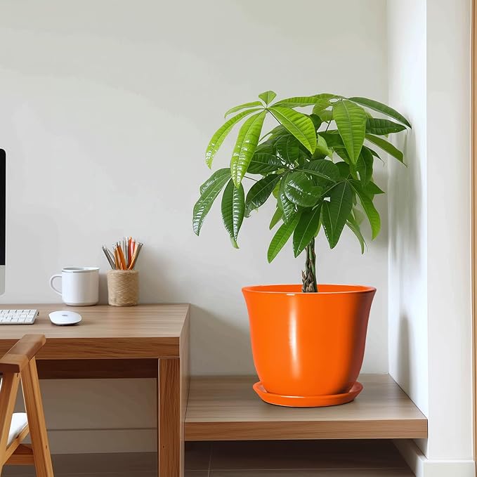 10 Inch Plant Pot - Image 7
