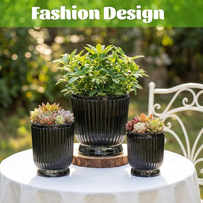 Set of 6 Self Watering Plant Pot 3 Sizes Plastic Double Layer Self Watering - Image 4